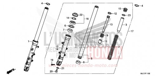 FORCELLA ANTERIORE CBR650FAJ di 2018
